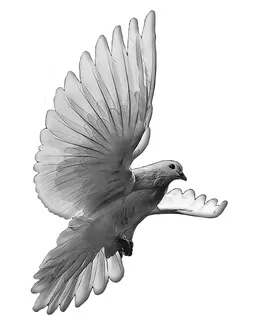 Заказать ДК006 - 11х17 см